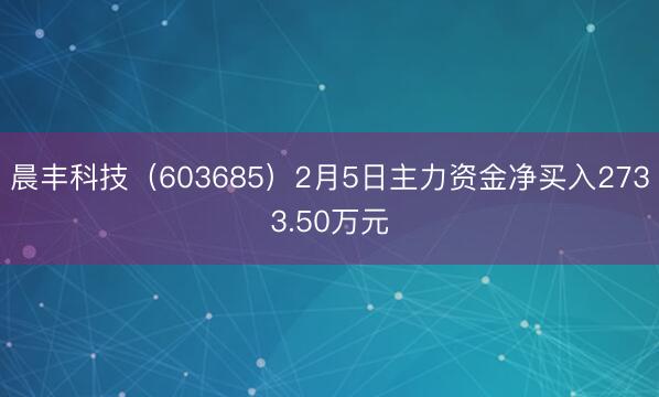 晨丰科技（603685）2月5日主力资金净买入2733.50万元