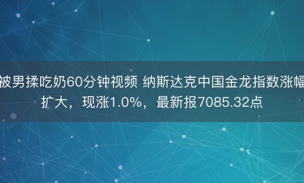 被男揉吃奶60分钟视频 纳斯达克中国金龙指数涨幅扩大，现涨1.0%，最新报7085.32点