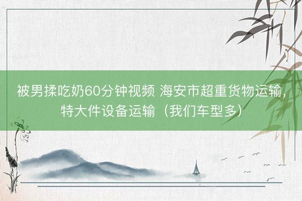 被男揉吃奶60分钟视频 海安市超重货物运输，特大件设备运输（我们车型多）
