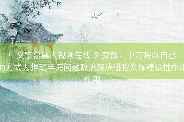 中文字幕黑人视频在线 外交部：中方将以自己的方式为推动半岛问题政治解决进程发挥建设性作用