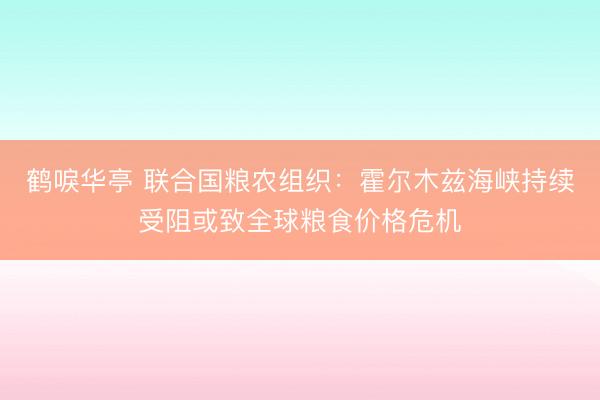 鹤唳华亭 联合国粮农组织：霍尔木兹海峡持续受阻或致全球粮食价格危机