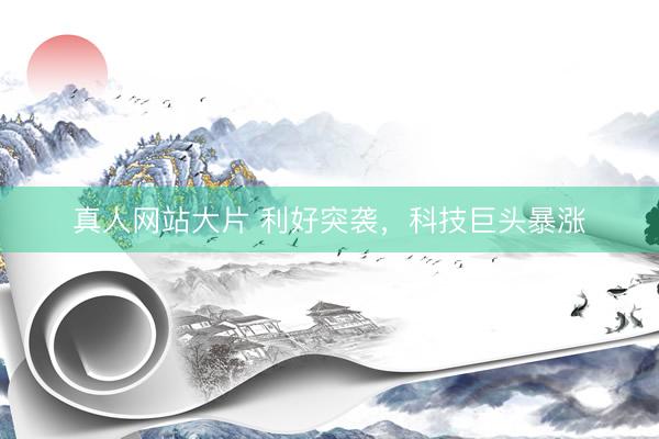 真人网站大片 利好突袭，科技巨头暴涨