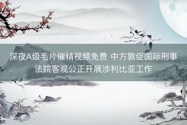 深夜A级毛片催精视频免费 中方敦促国际刑事法院客观公正开展涉利比亚工作