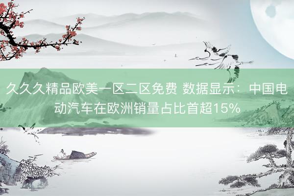 久久久精品欧美一区二区免费 数据显示：中国电动汽车在欧洲销量占比首超15%