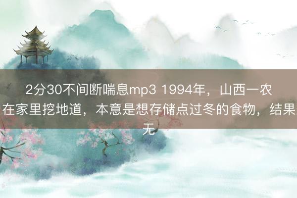 2分30不间断喘息mp3 1994年，山西一农户在家里挖地道，本意是想存储点过冬的食物，结果无