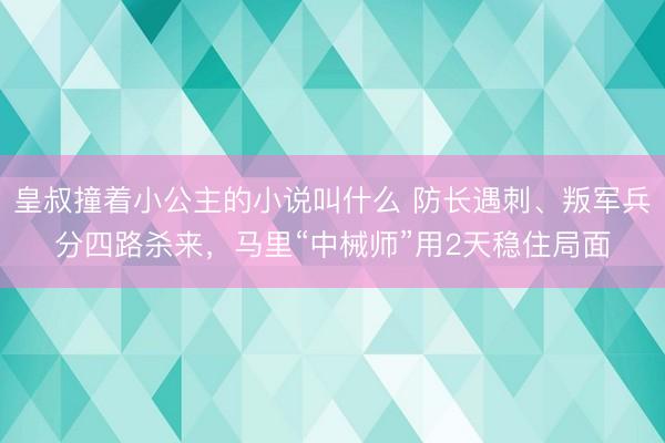 皇叔撞着小公主的小说叫什么 防长遇刺、叛军兵分四路杀来,马里“中械师”用2天稳住局面