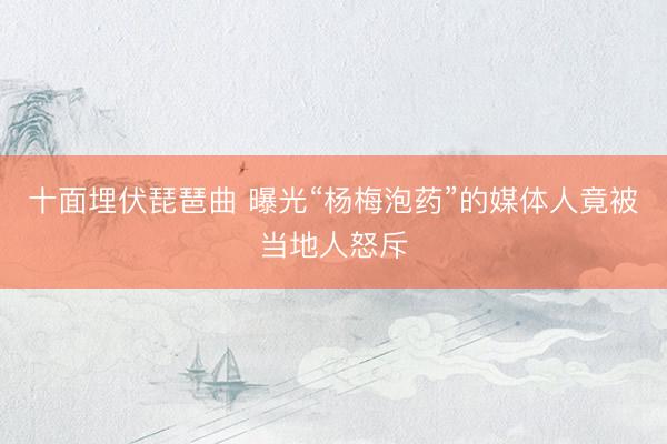 十面埋伏琵琶曲 曝光“杨梅泡药”的媒体人竟被当地人怒斥