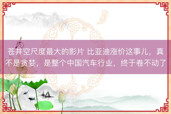 苍井空尺度最大的影片 比亚迪涨价这事儿,真不是贪婪,是整个中国汽车行业,终于卷不动了