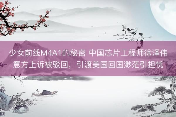少女前线M4A1的秘密 中国芯片工程师徐泽伟意方上诉被驳回,引渡美国回国渺茫引担忧