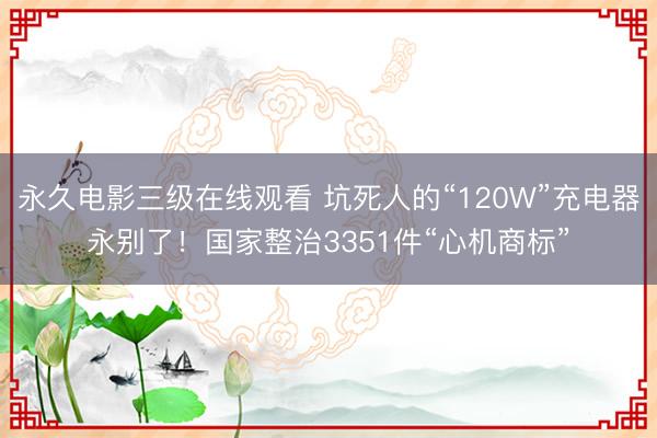 永久电影三级在线观看 坑死人的“120W”充电器永别了！国家整治3351件“心机商标”