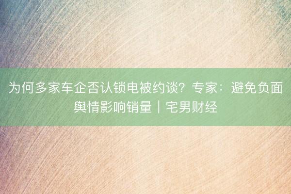 为何多家车企否认锁电被约谈？专家：避免负面舆情影响销量｜宅男财经