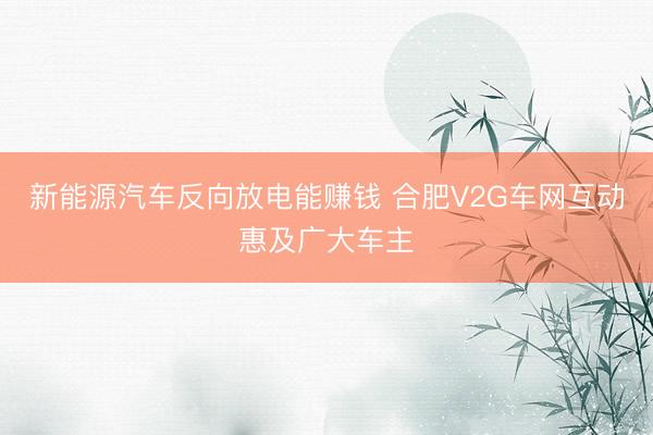 新能源汽车反向放电能赚钱 合肥V2G车网互动惠及广大车主