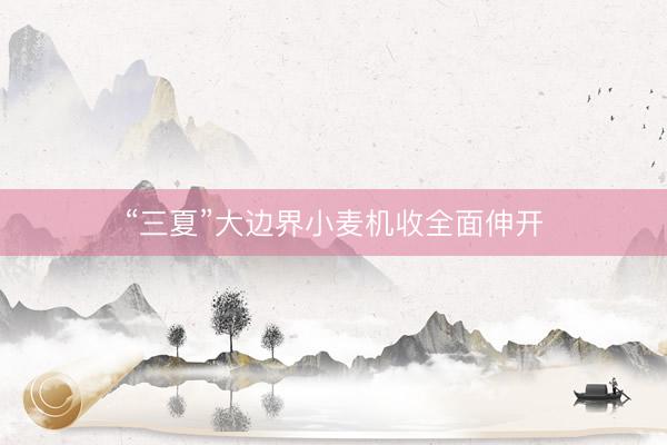 “三夏”大边界小麦机收全面伸开