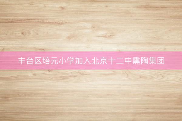 丰台区培元小学加入北京十二中熏陶集团