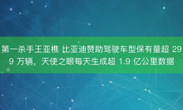 第一杀手王亚樵 比亚迪赞助驾驶车型保有量超 299 万辆，天使之眼每天生成超 1.9 亿公里数据