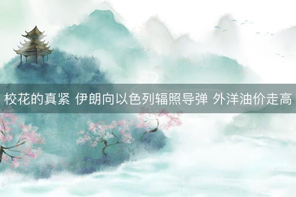 校花的真紧 伊朗向以色列辐照导弹 外洋油价走高