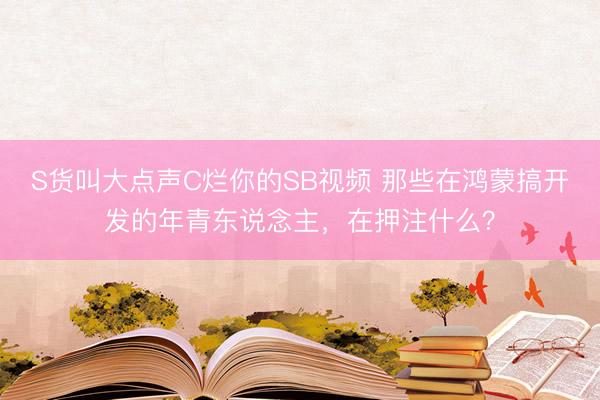 S货叫大点声C烂你的SB视频 那些在鸿蒙搞开发的年青东说念主，在押注什么？