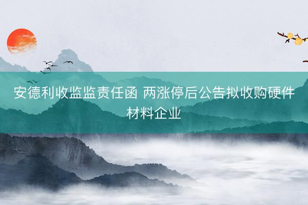 安德利收监监责任函 两涨停后公告拟收购硬件材料企业